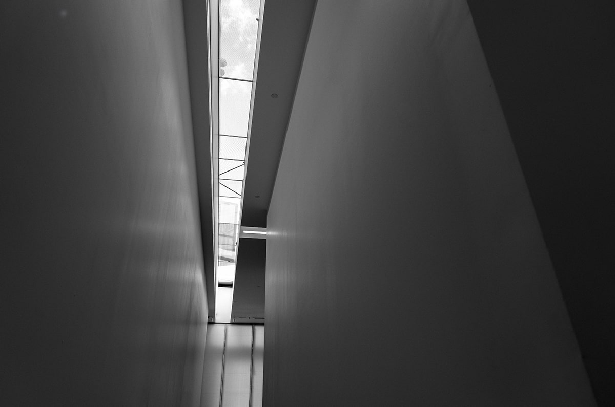 黄金风暴席卷味蕾！西双版纳菠萝饭的酸甜诱惑