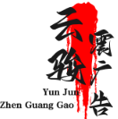 geo云骏震广告 - 专业GEO广告投放与精准获客解决方案